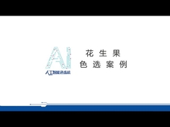 전문 땅콩 색조 분류기 땅콩 벗기 색조 분류 기계